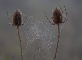 Czy uczeń ma prawo zrobić zdjęcie sprawdzianu? Czy uczeń ma prawo zrobić zdjęcie sprawdzianu?