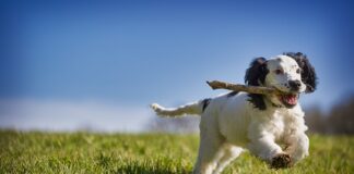 Jak odzyskać pieniądze za nie dostarczony towar?