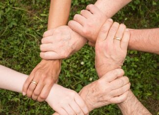 Jak możesz budować zaufanie w relacji z klientem podczas obsługi?