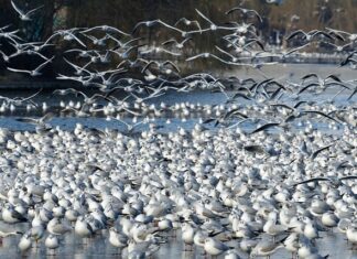 Czy opłaca się kupić działkę budowlaną w 2023?