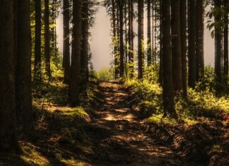 Na czym polega nagrywanie w chmurze?