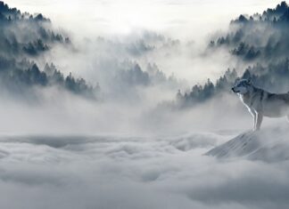 Jaki będzie świat za 100 lat?