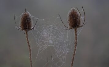 Czy uczeń ma prawo otrzymać sprawdzian do domu?