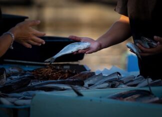 Jak nauczyć się sprzedawać?