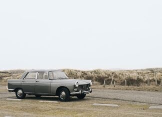 Ile Polacy mają w obligacjach?