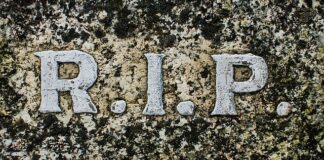 Jak interpretować IRR?