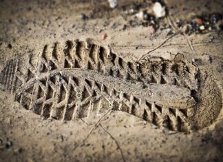 Jaka ocena to 44%? Jaka ocena to 44%?