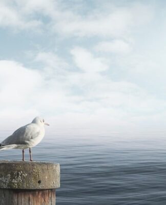 Jakich słów użyjesz by uspokoić klienta?