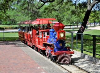 Czy żona dziedziczy majątek osobisty męża?