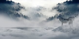 Jak będzie wyglądać świat za 20 lat?