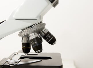 Ile kosztuje pełna morfologia?