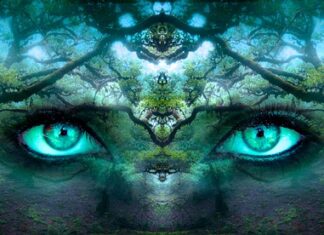 Jak chronić swoją tożsamość cyfrowa?