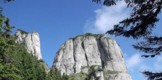 Po co powstały bazy danych?