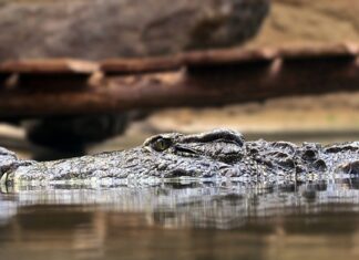 Jakie są podstawowe zasady bezpieczeństwa?