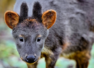 Jakie są zagrożenia spowodowane działalnością człowieka?