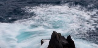 Czy ceny mieszkań spadną w 2023?