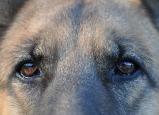 Jak mądrze wykorzystywać czas?