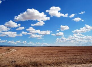 Jakie są Twoje słabe strony przykłady?