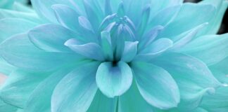 Jak sprawdzić nasycenie rynku? Jak sprawdzić nasycenie rynku?