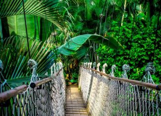 Ile kosztuje kurs Cybersecurity? Ile kosztuje kurs Cybersecurity?