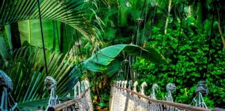 Czy warto iść na kurs programowania?