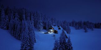 Co jest głównym celem marketingu?