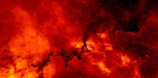 Jakie są obiekty bazy danych?