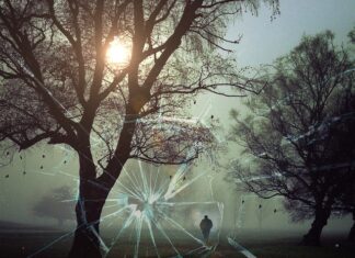 Jakie są kryminalne zagrożenia w sieci?