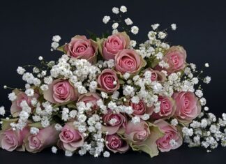 Jak odpowiedzieć na Dziękuję bardzo?